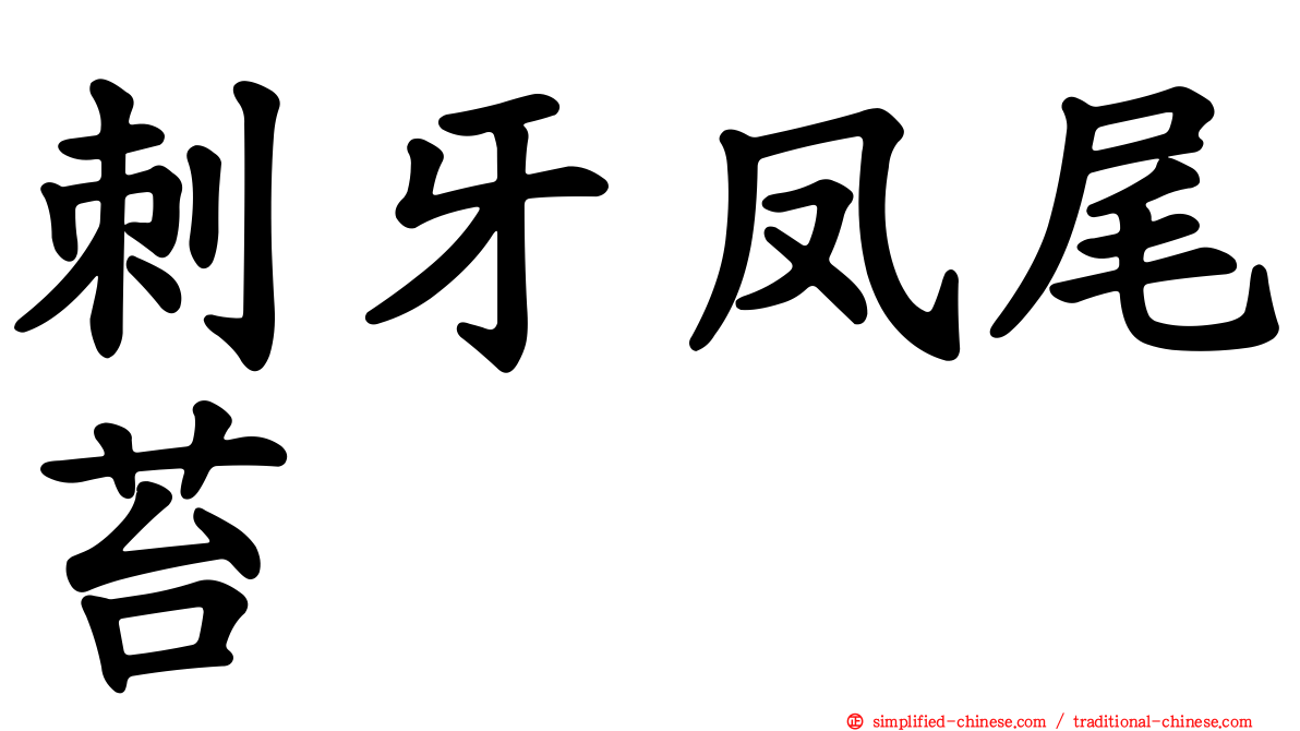 刺牙凤尾苔