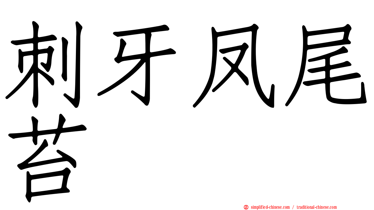 刺牙凤尾苔
