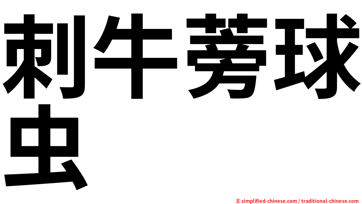 刺牛蒡球虫