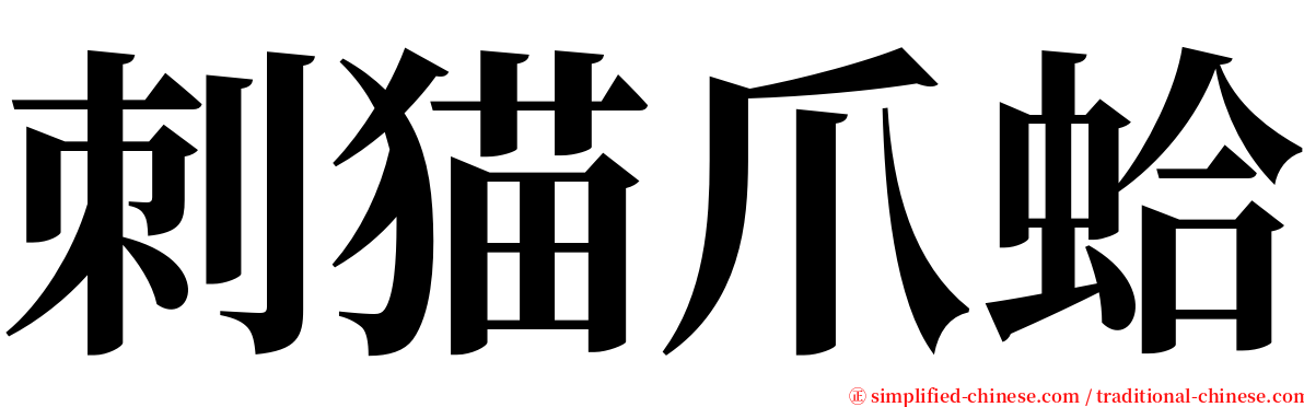 刺猫爪蛤 serif font