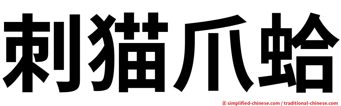 刺猫爪蛤