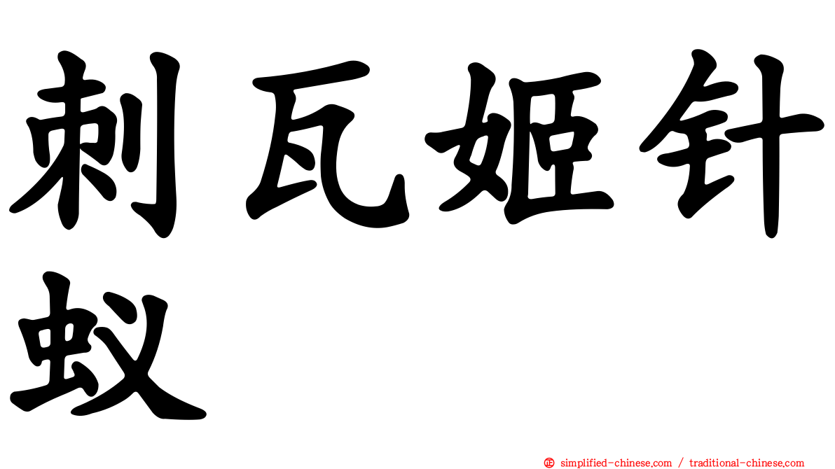 刺瓦姬针蚁