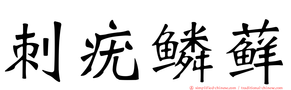 刺疣鳞藓