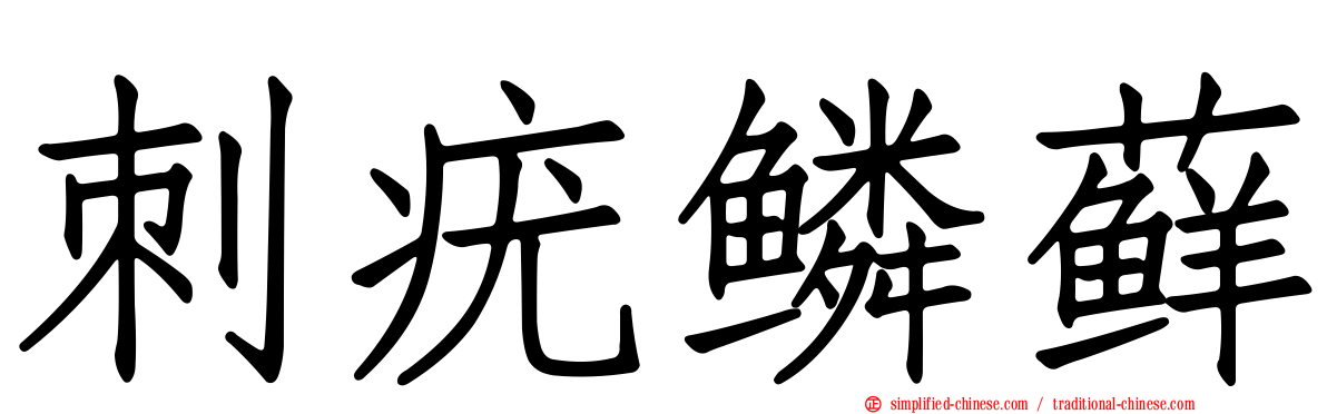 刺疣鳞藓
