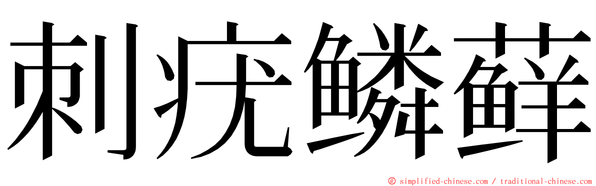 刺疣鳞藓 ming font