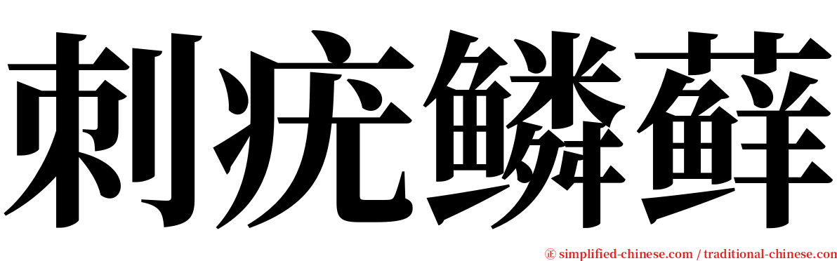 刺疣鳞藓 serif font