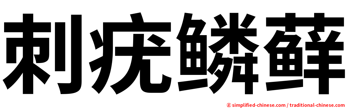 刺疣鳞藓