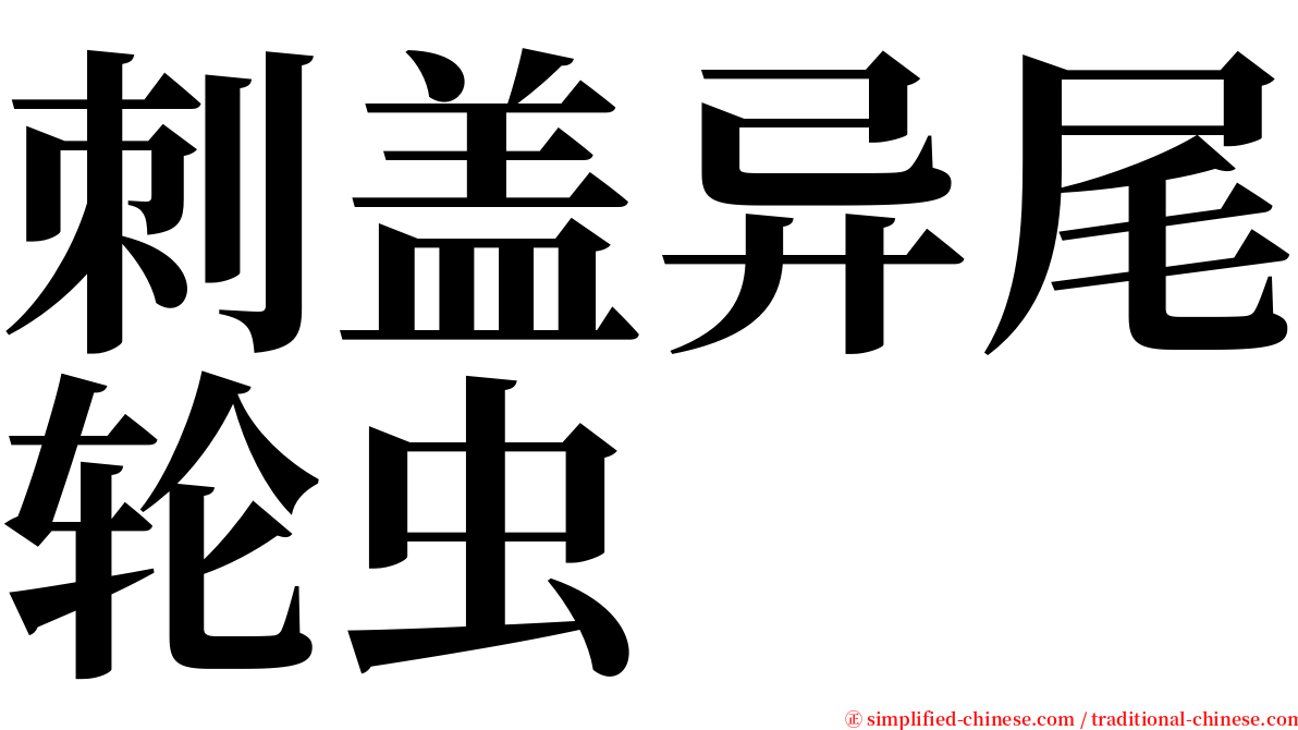 刺盖异尾轮虫 serif font