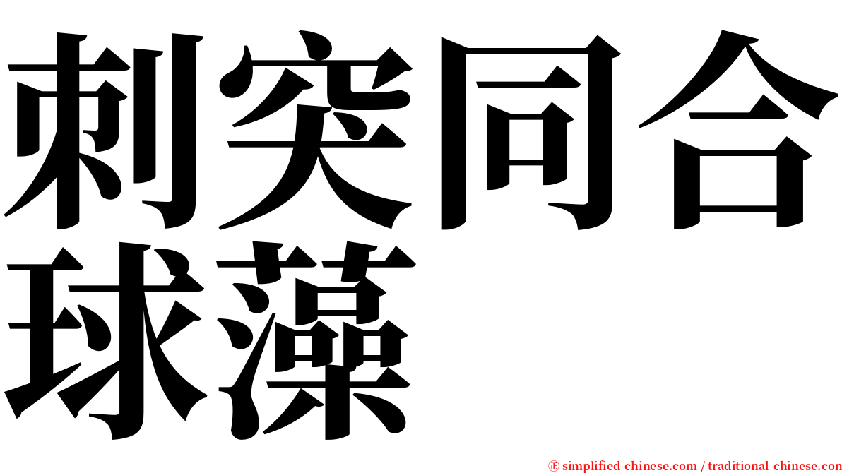 刺突同合球藻 serif font