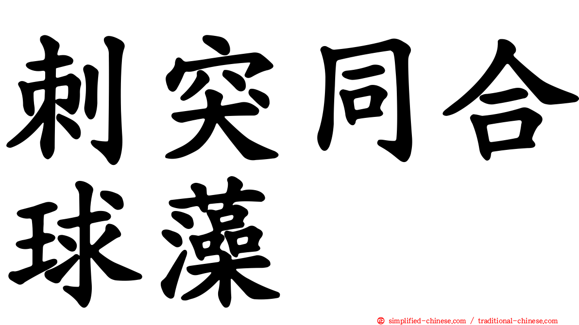 刺突同合球藻
