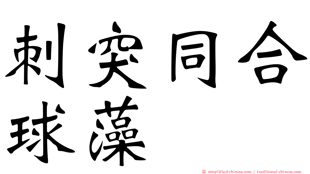 刺突同合球藻