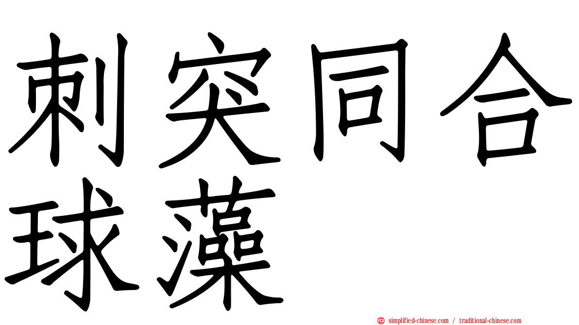 刺突同合球藻