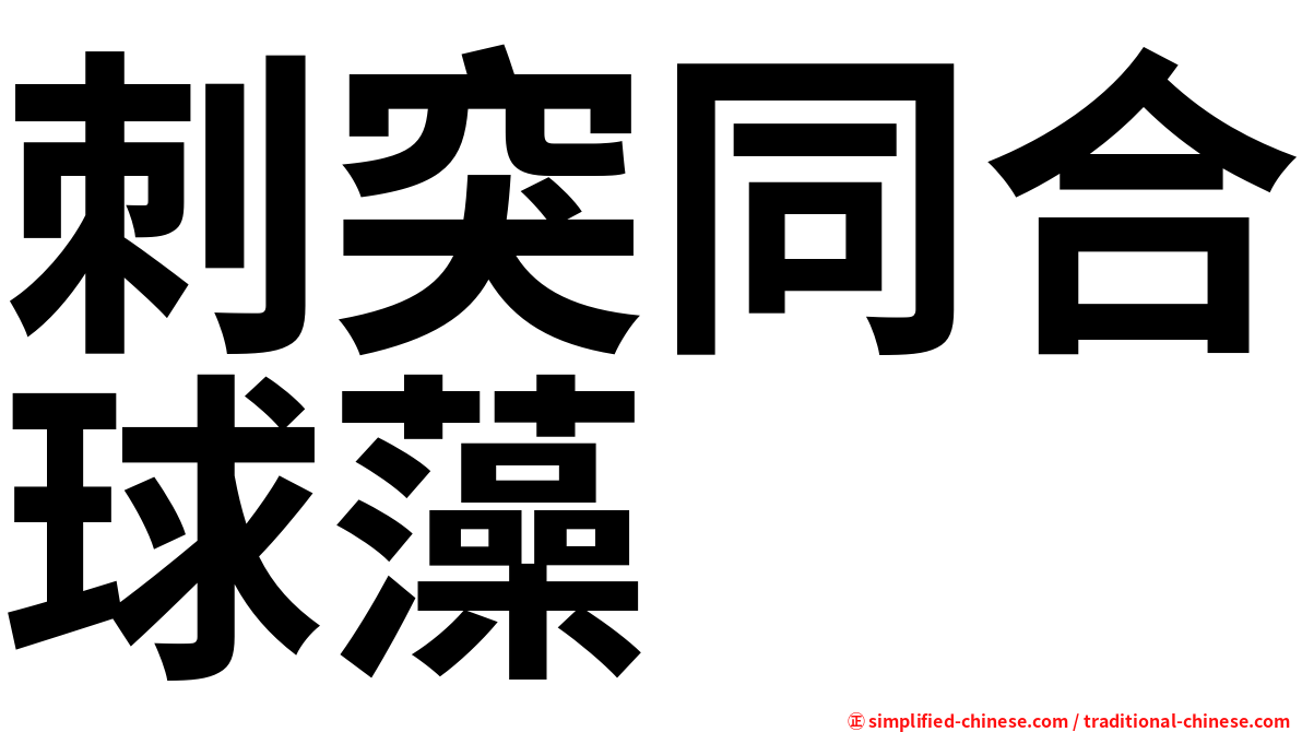 刺突同合球藻