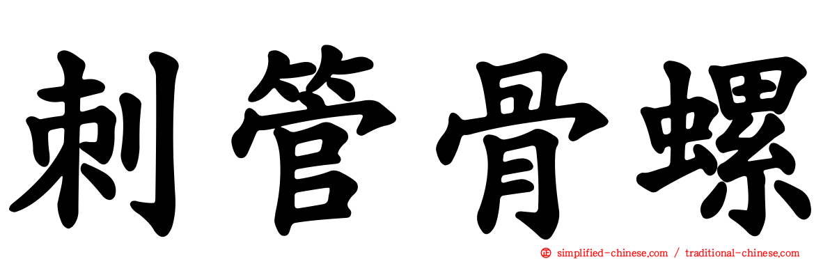 刺管骨螺