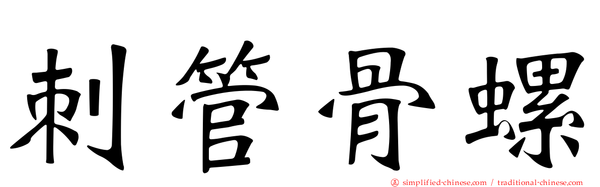 刺管骨螺