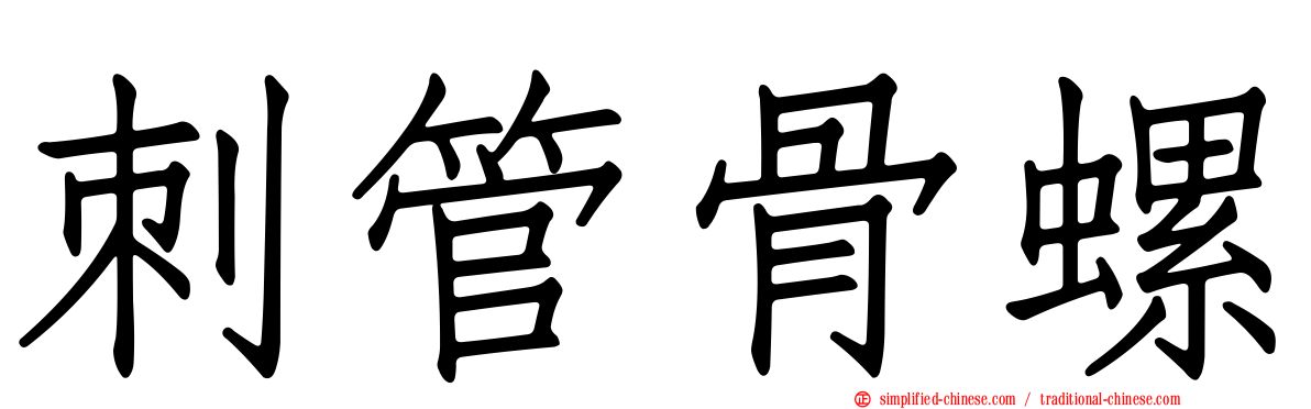 刺管骨螺
