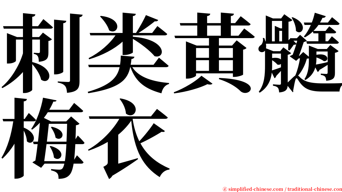 刺类黄髓梅衣 serif font