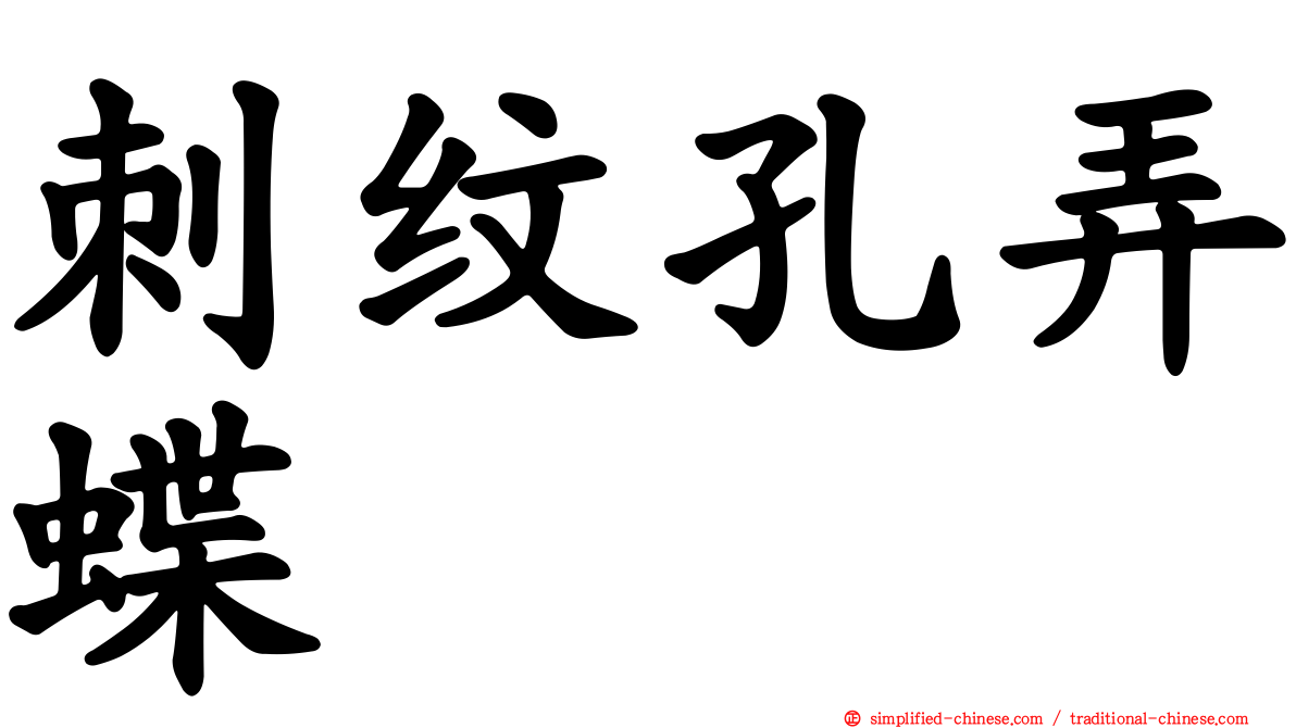 刺纹孔弄蝶