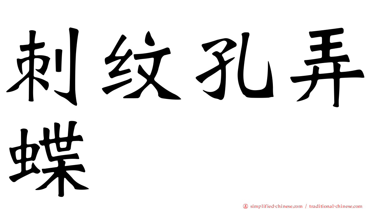 刺纹孔弄蝶