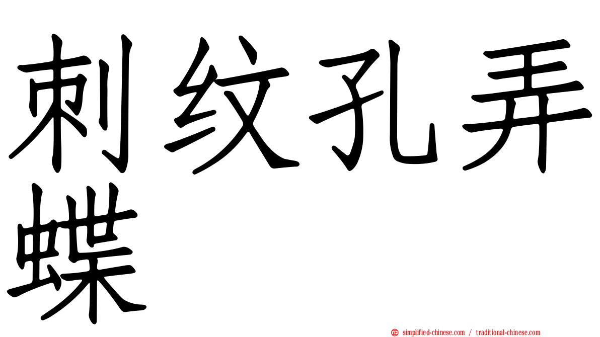 刺纹孔弄蝶