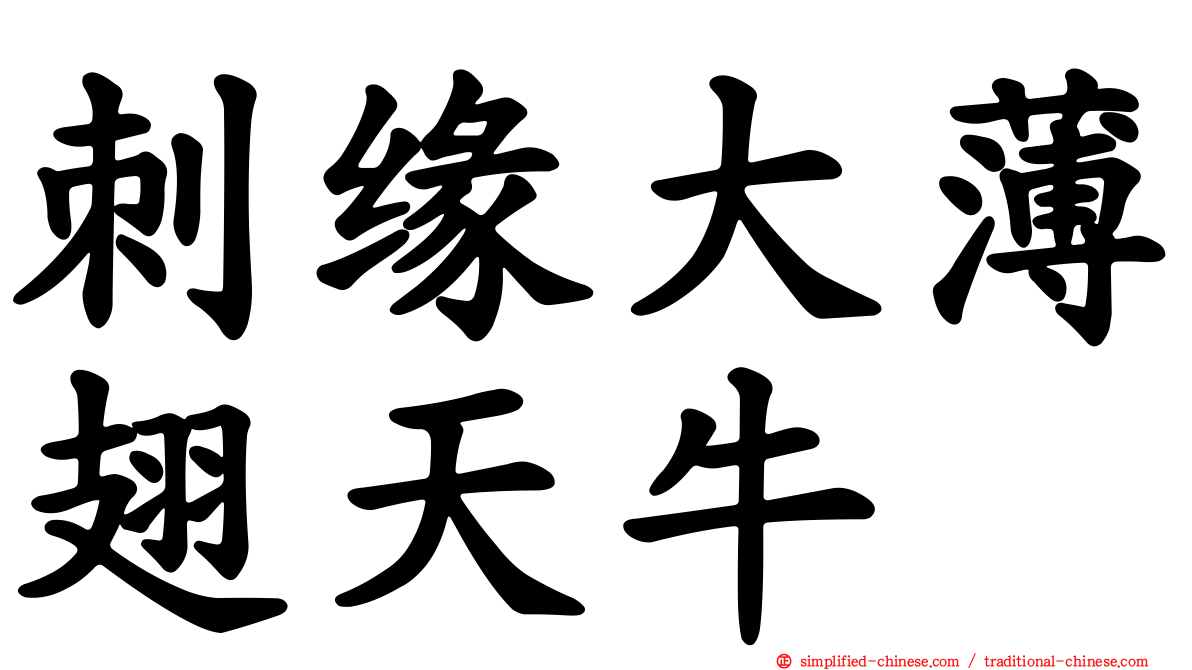 刺缘大薄翅天牛