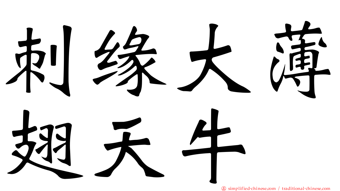 刺缘大薄翅天牛