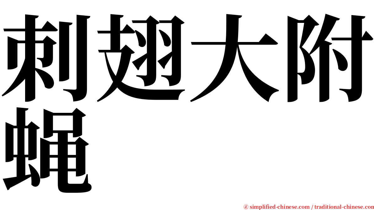 刺翅大附蝇 serif font