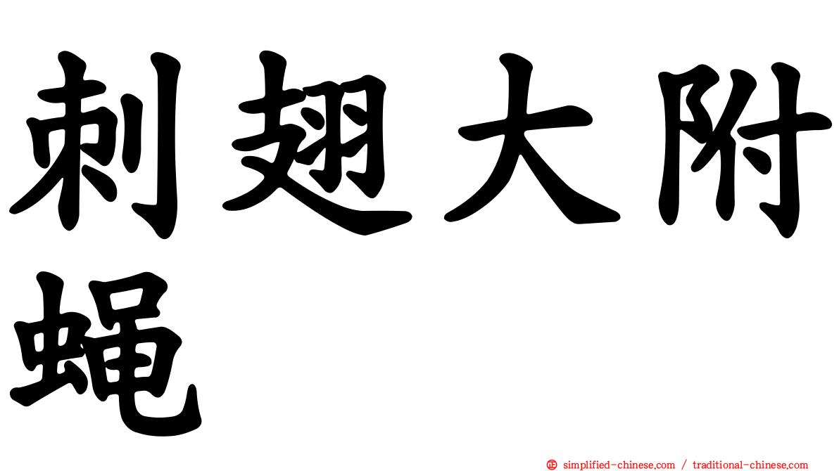 刺翅大附蝇