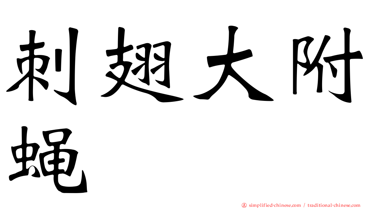 刺翅大附蝇