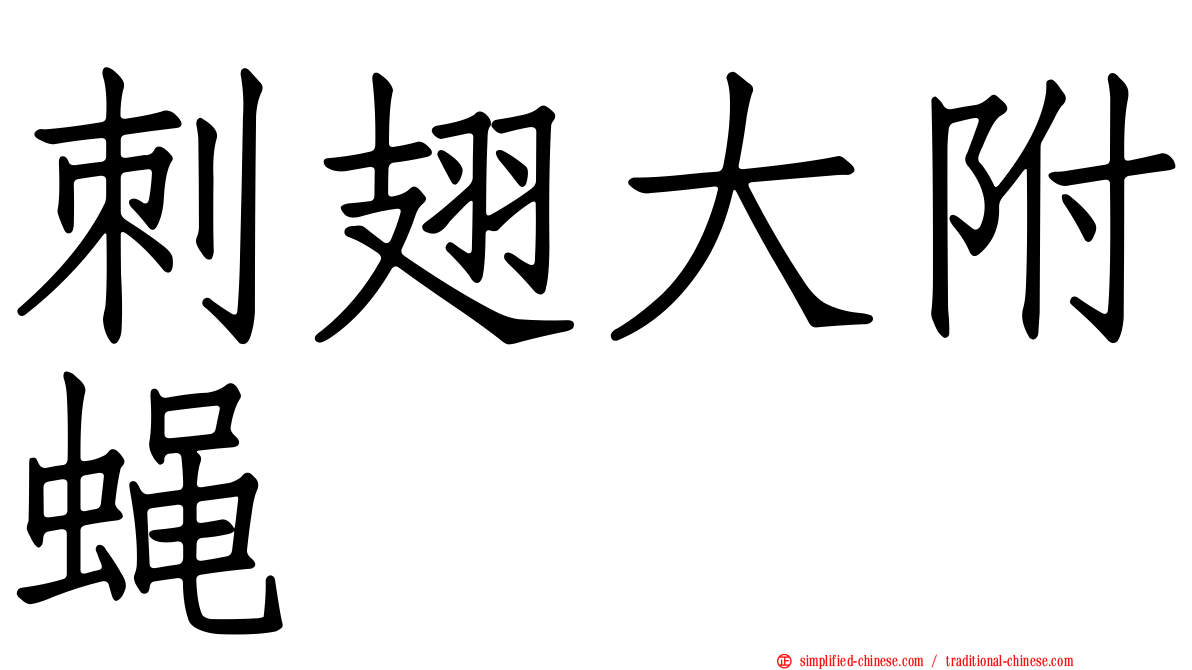 刺翅大附蝇