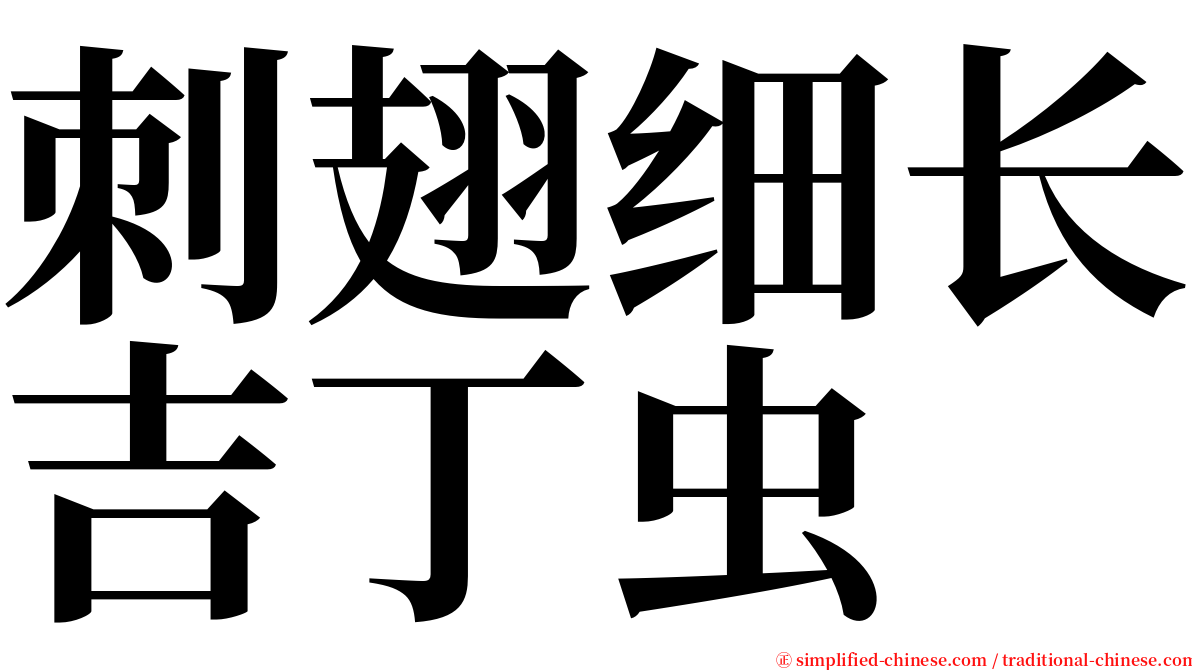 刺翅细长吉丁虫 serif font