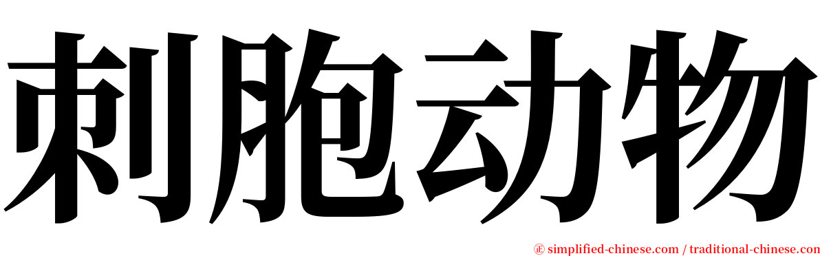 刺胞动物 serif font