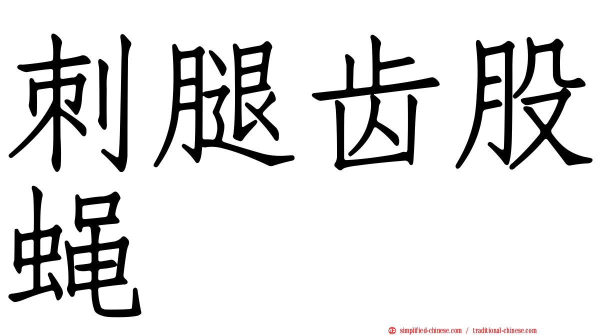 刺腿齿股蝇