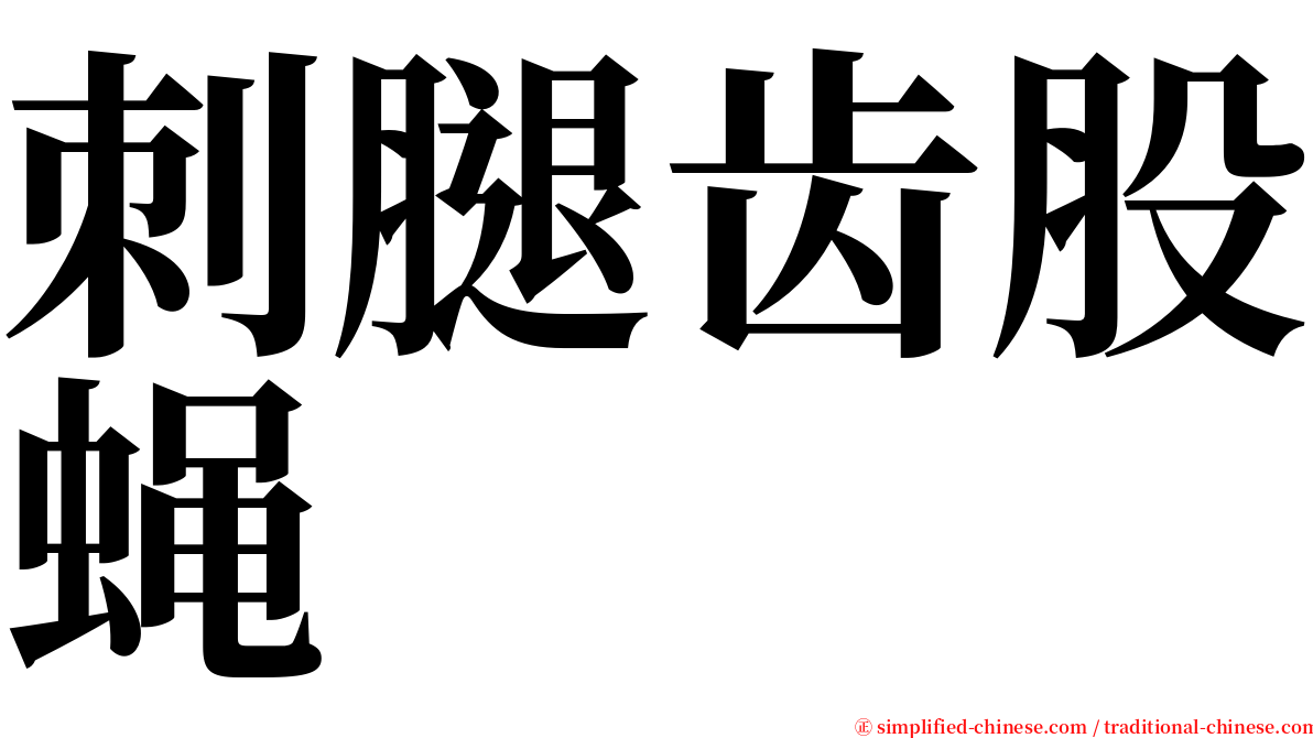 刺腿齿股蝇 serif font