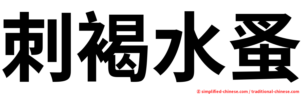 刺褐水蚤
