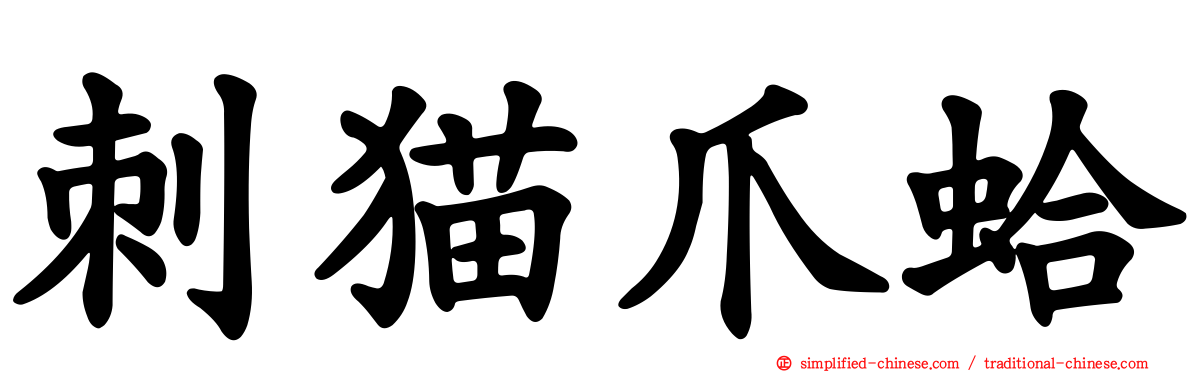 刺猫爪蛤
