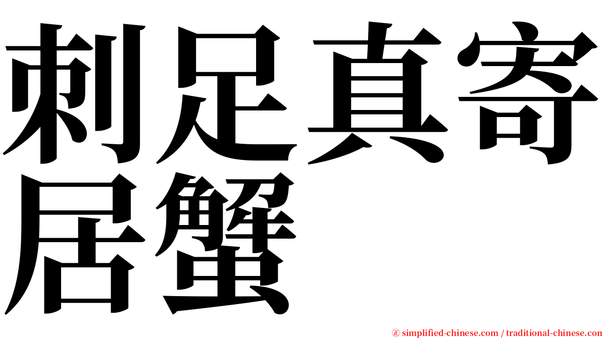 刺足真寄居蟹 serif font