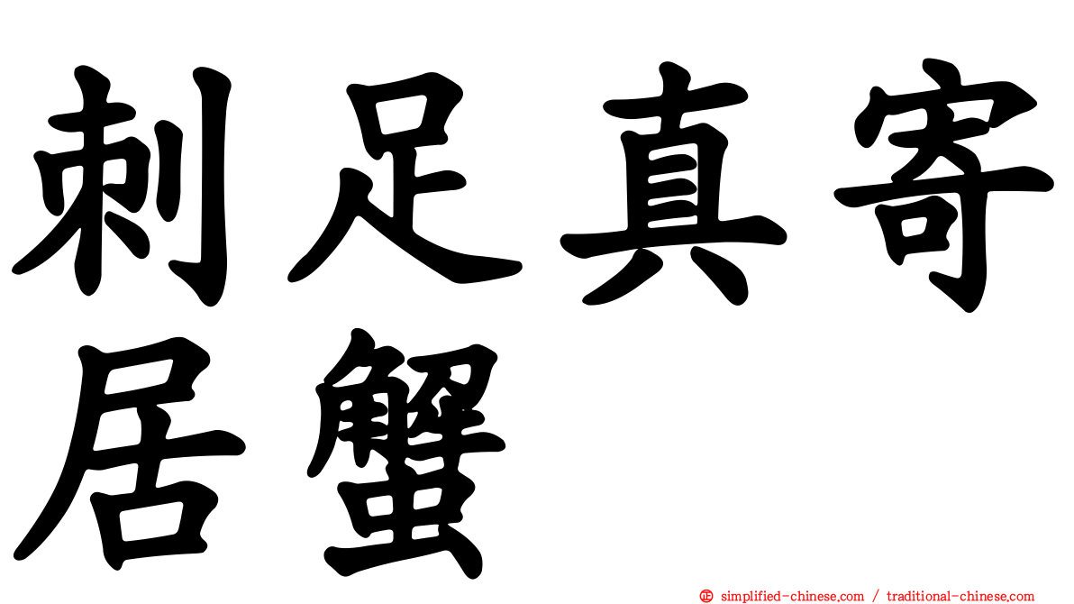 刺足真寄居蟹