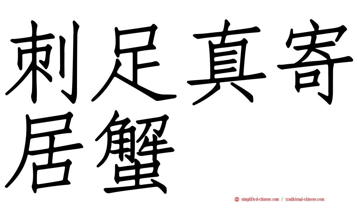 刺足真寄居蟹