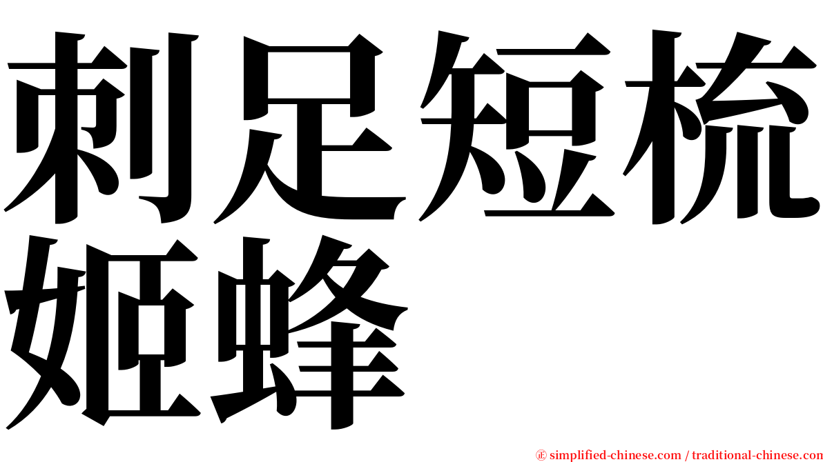 刺足短梳姬蜂 serif font