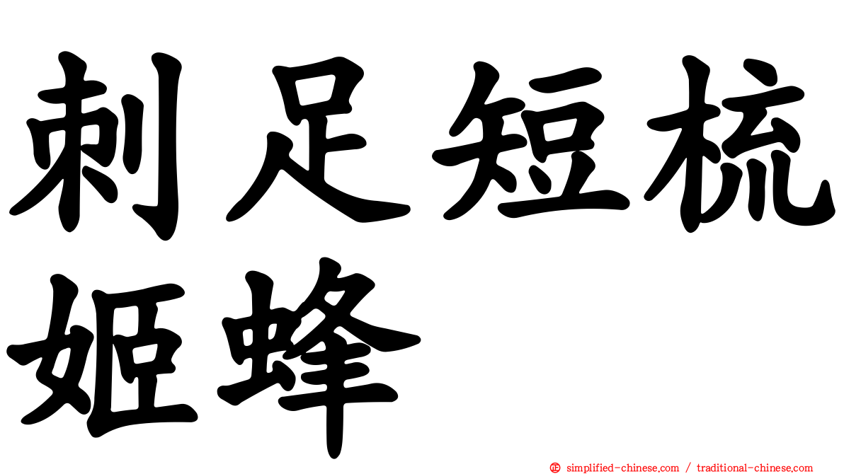 刺足短梳姬蜂