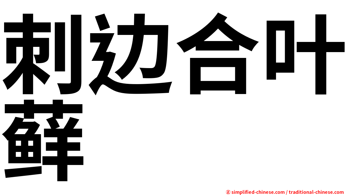 刺边合叶藓