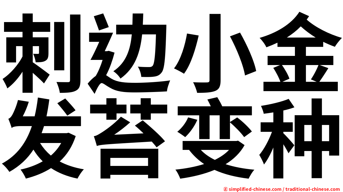 刺边小金发苔变种