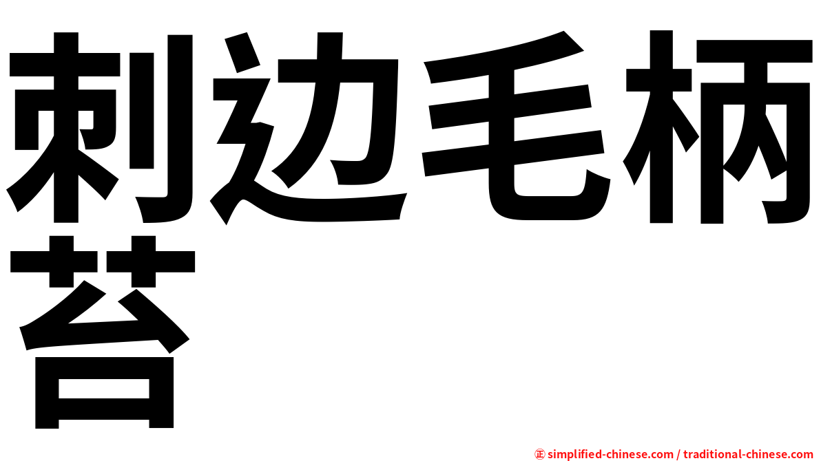刺边毛柄苔