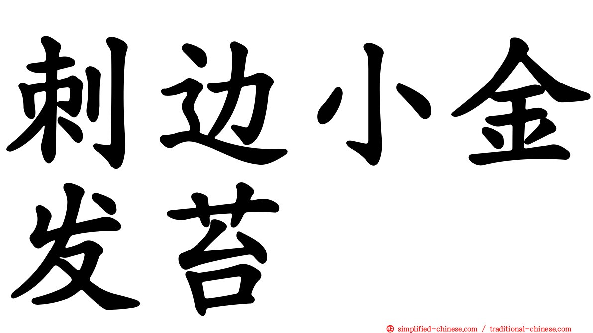 刺边小金发苔