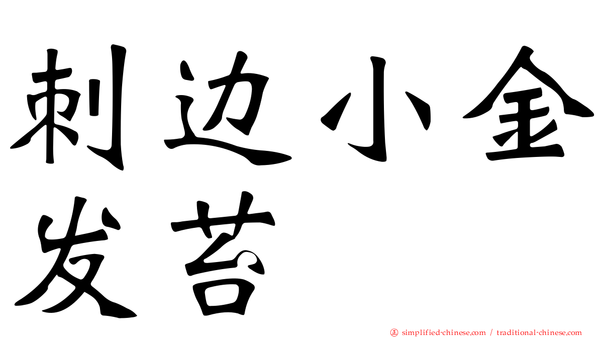 刺边小金发苔
