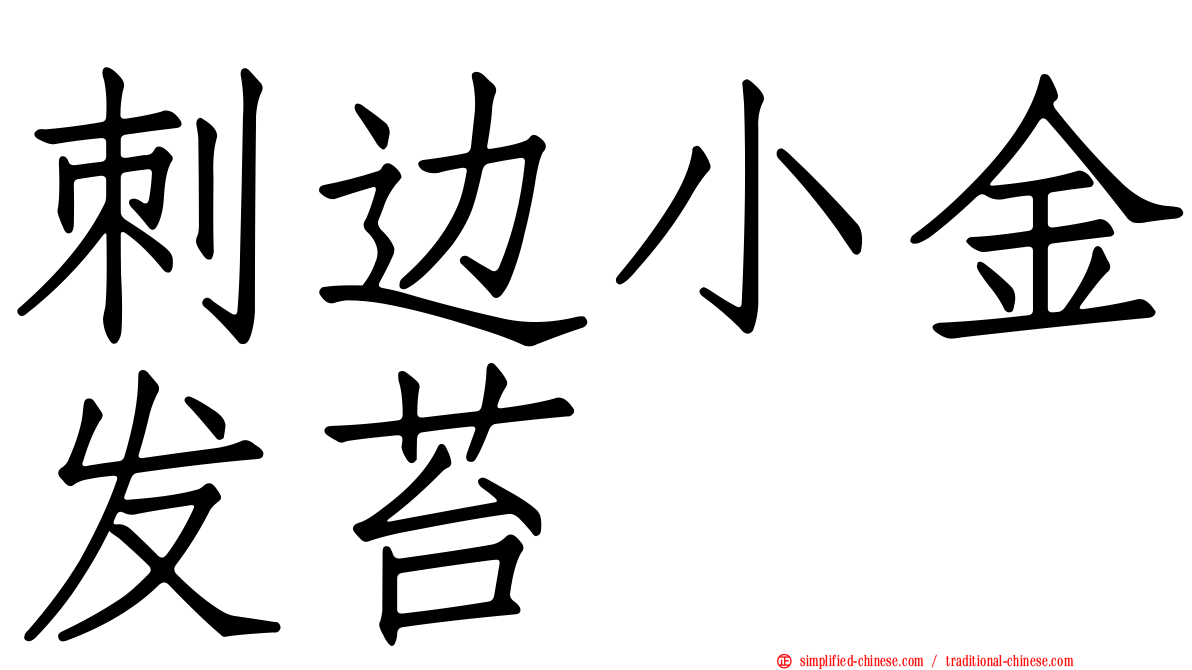 刺边小金发苔