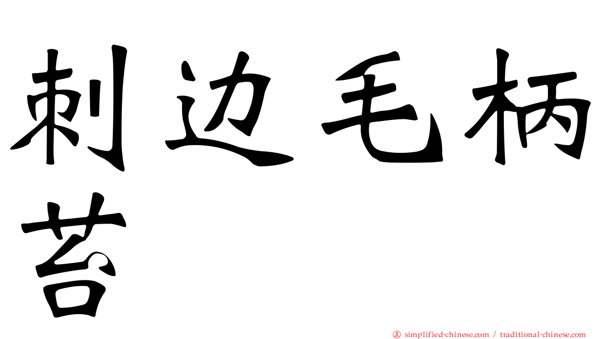刺边毛柄苔