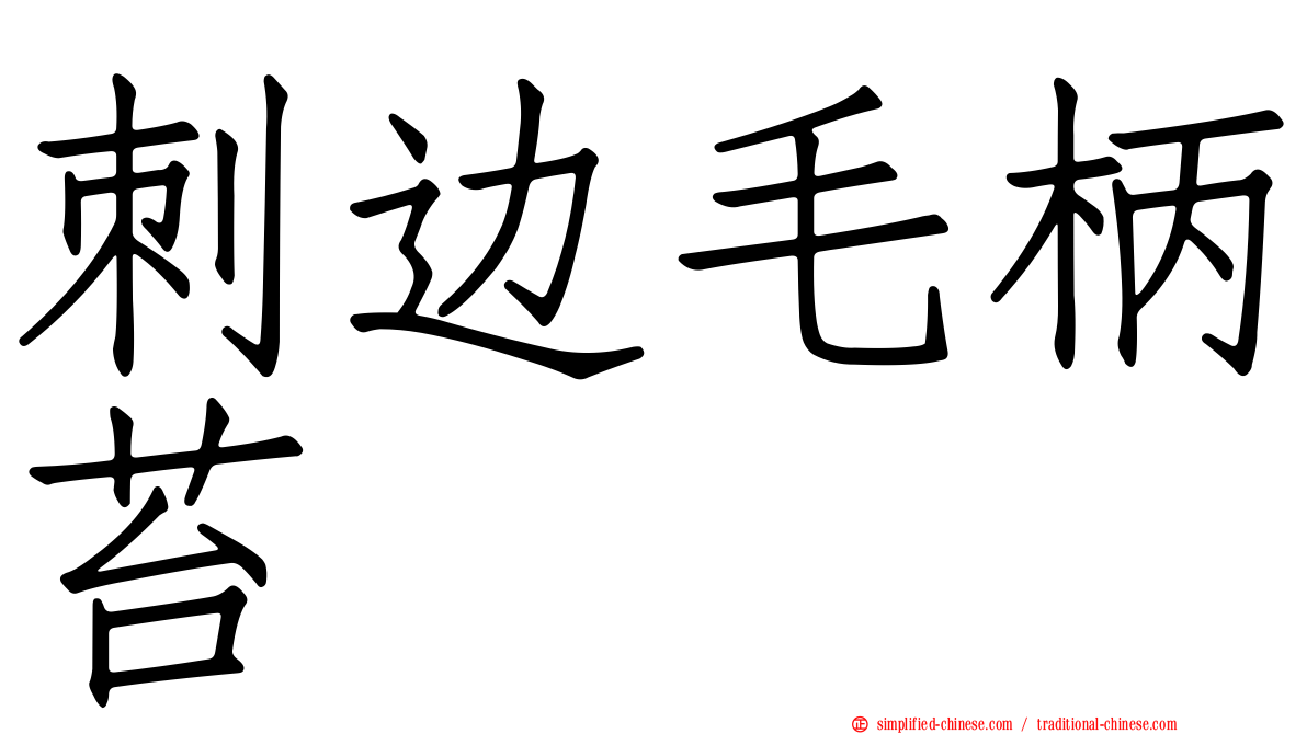 刺边毛柄苔
