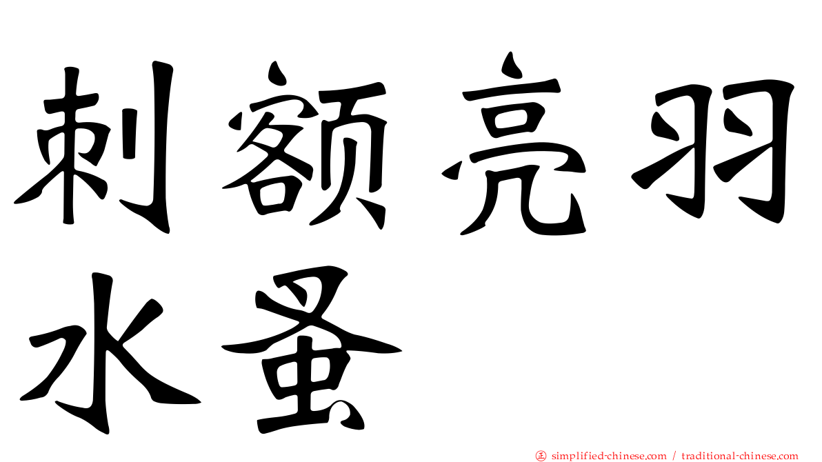 刺额亮羽水蚤